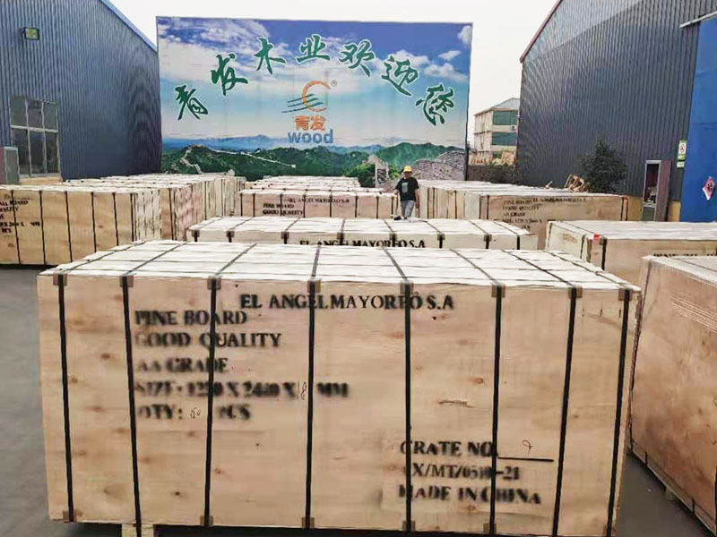 板材行業(yè)創(chuàng)新引領(lǐng)新未來(lái)，共筑綠色生態(tài)家園